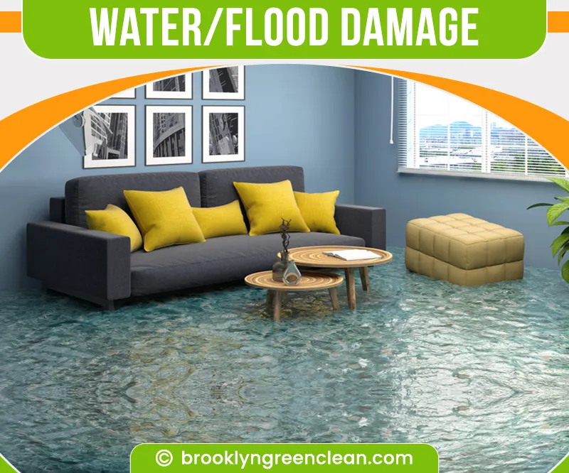 carpet cleaning in brooklyn, carpet cleaning in new york, carpet cleaning brooklyn, carpet cleaners in brooklyn, carpet cleaners in new york, commercial carpet cleaning, commercial carpet cleaning in brooklyn, brooklyn rug cleaners, rug cleaning services in brooklyn, same day carpet cleaning, same day rug cleaning